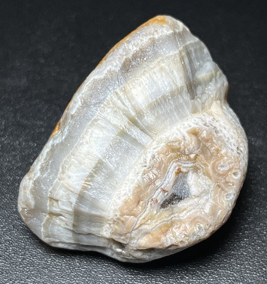 2 oz Light Pastel Colors With Coral Like Cap Lake Superior Agate.