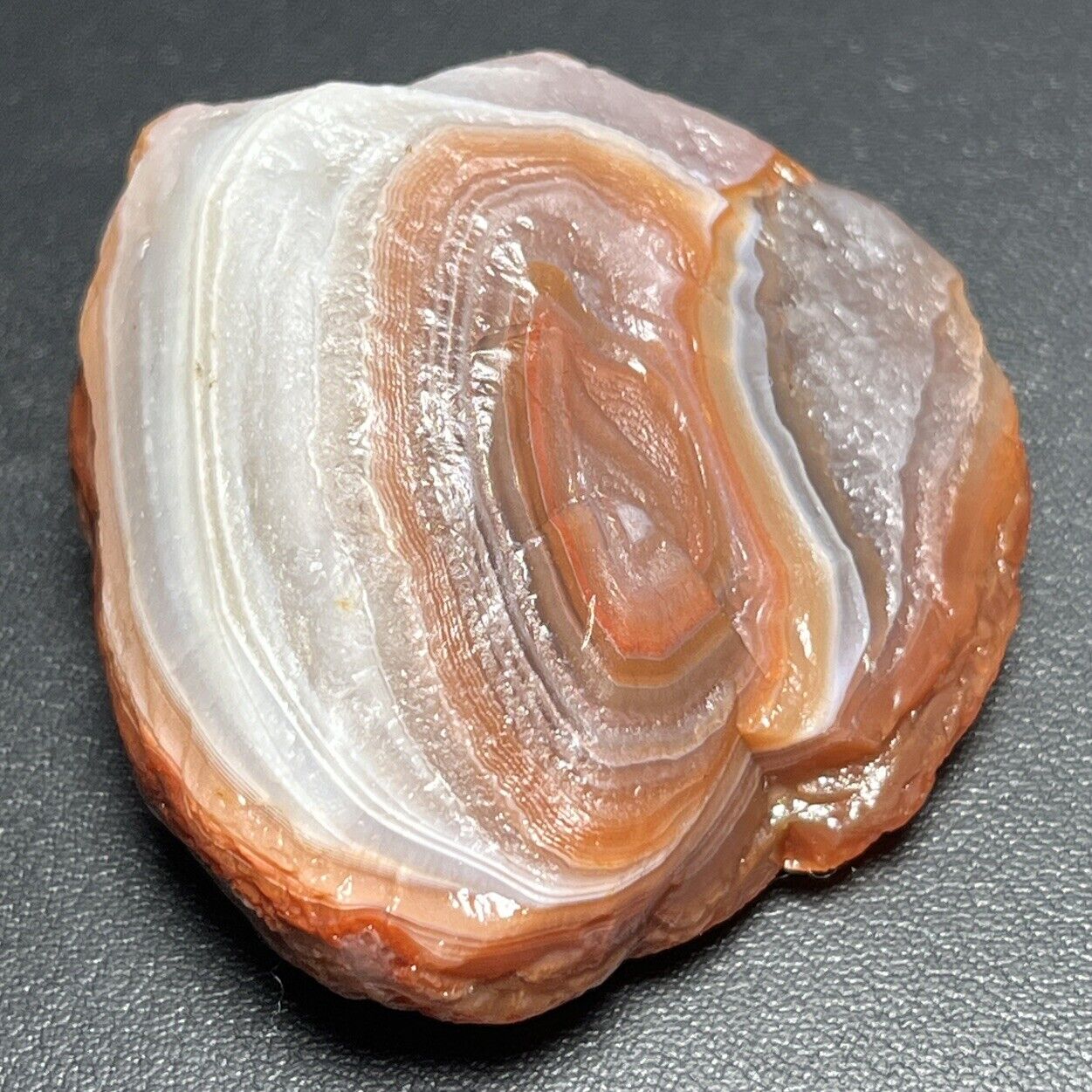 2 oz Gorgeous Floater  Lake Superior Agate. Mn State Gemstone.