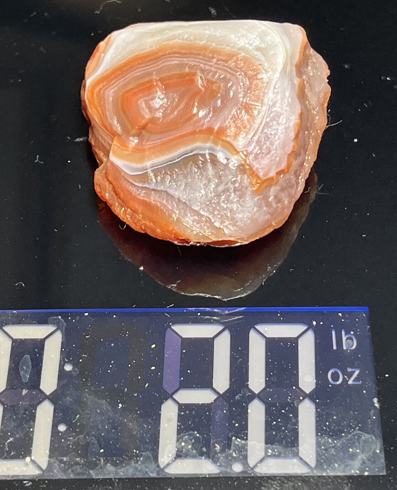 2 oz Gorgeous Floater  Lake Superior Agate. Mn State Gemstone.
