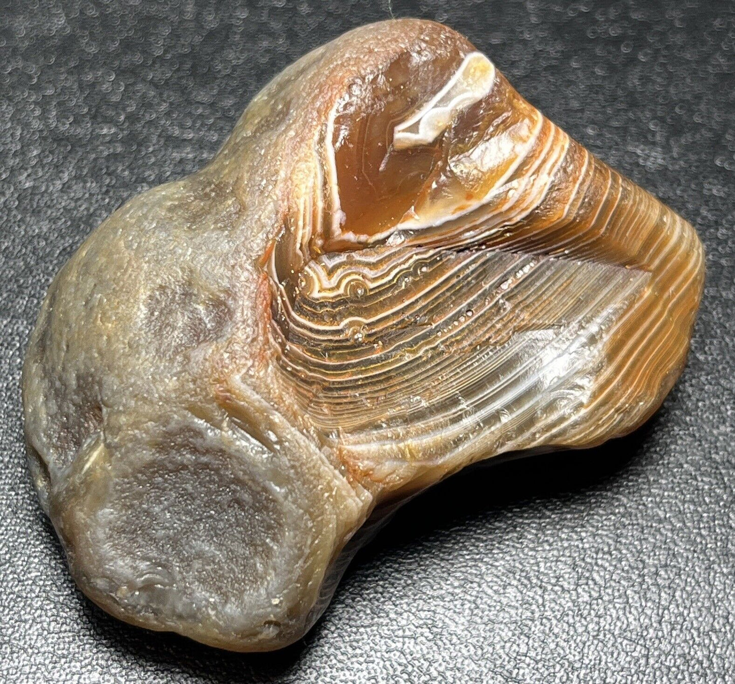 1.7 oz Red & White Fortification LSA (W/What Appears To Be aCrystal Impression?)