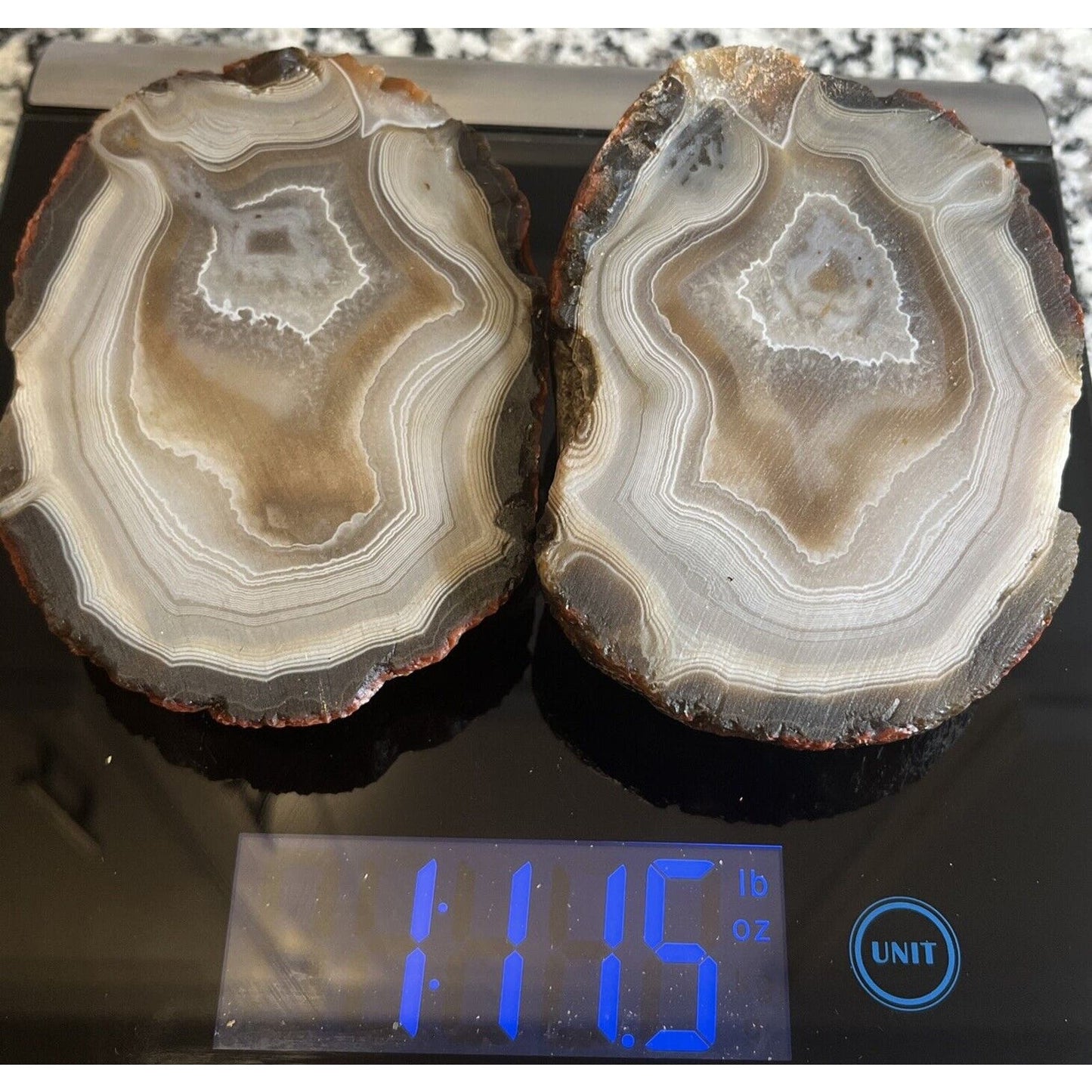 1 lb 11.5 oz Stunning Floater Sliced Lake Superior Agate.