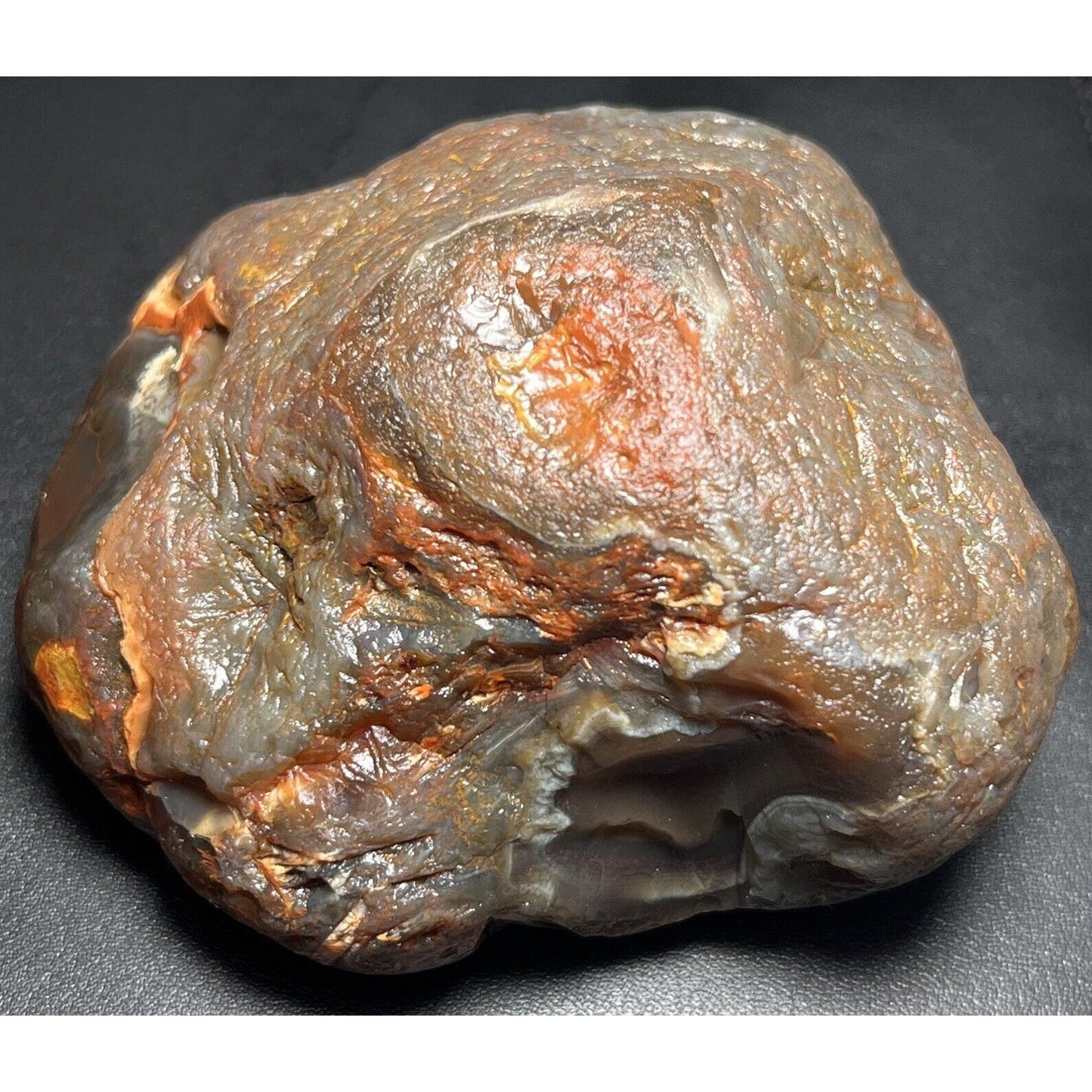 15.6 oz Full Nodule Uncut Jelly W/Bright Orange Highlights Lake Superior Agate.