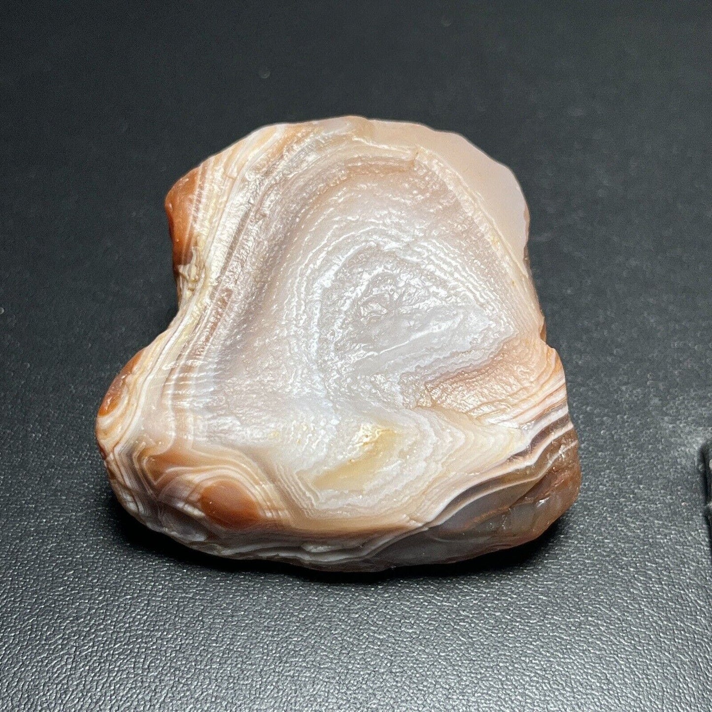 2 oz Red & White Fortification Lake Superior Agate. Mn State Gemstone.